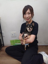 (べにいも　スムースチワワ).JPG