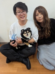 (サンチュ　ロングコートチワワ).JPG