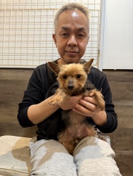 (トイロ　ヨークシャーテリア).JPG