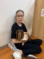 (ティエン　ミニチュアダックスフンド).JPG