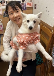 (パパイヤ　日本スピッツ).JPG