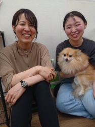 (トウファ　ポメラニアン).JPG