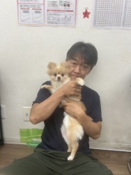 (びゃくだん　ポメラニアン).JPG