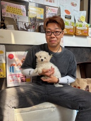 (ブルゴー　ビションフリーゼ).JPG