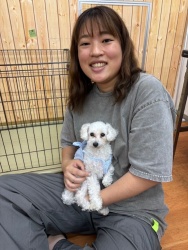 (たんば　トイプードル).JPG