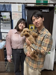 (いちりん トイプードル).jpg