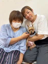 (トイロ　ヨークシャーテリア).JPG