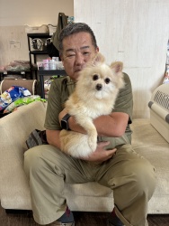 (まりい ポメラニアン).jpg