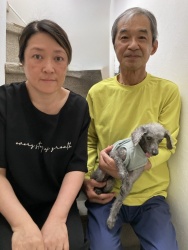 (ワッフル トイプードル).jpg