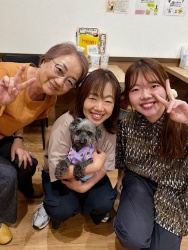 (ふりかけ　トイプードル).JPG