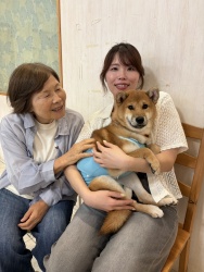 (こてっちゃん 柴犬).jpg