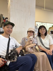 (すもも　トイプードル).jpg