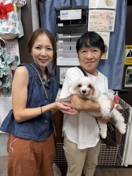 (マール マルチーズ).jpg