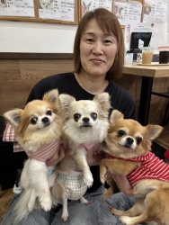 (もっちり　ロングコートチワワ).JPG