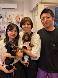 (マホップ　ミニチュアダックスフンド).JPG