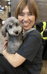 (バートリー　トイプードル).JPG