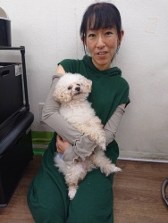 (ミニョン　トイプードル).JPG
