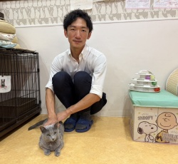 (みぽし　ロシアンブルー).JPG