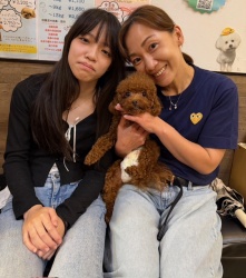 (すあま　トイプードル).JPG