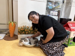 (あんびん　ノルウェージャンフォレストキャット).jpg