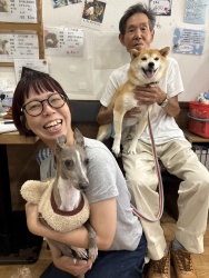 (いとこん　イタリアングレーハウンド).jpg