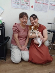(シノノメ　パピヨン).jpg