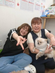 (リーオ　ポメラニアン).jpg