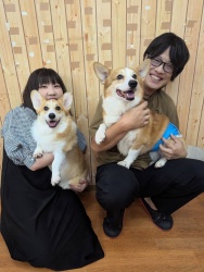 (えごま　ウェルシュコーギーペンブローク).jpg