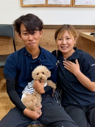 (レーズン　トイプードル).jpg