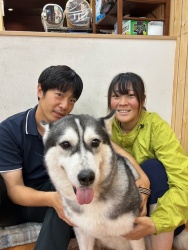 (ホムラ　シベリアンハスキー).jpg