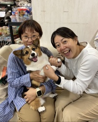(まりも ウェルシュコーギーペンブローク).jpg