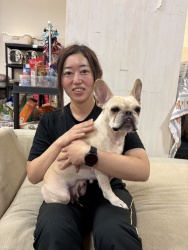(ララ フレンチブルドッグ).jpg