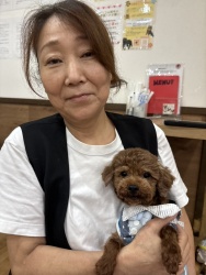 (いちご　トイプードル).jpg