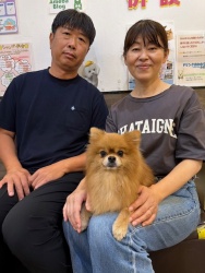 (ウチワ　ポメラニアン).jpg