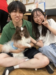 (せとうち　ポメラニアン).jpg