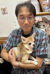 (シューマン　スムースチワワ).jpg