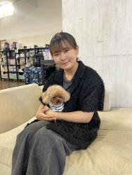 (しいし トイプードル).jpg