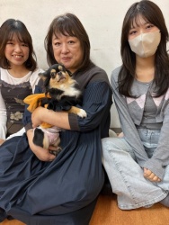 (スイチョ　ロングコートチワワ).jpg