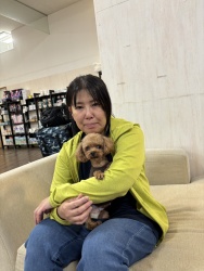 (アス　トイプードル).jpg